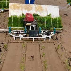 Rice planting machine mountainous hilly terraced field handheld