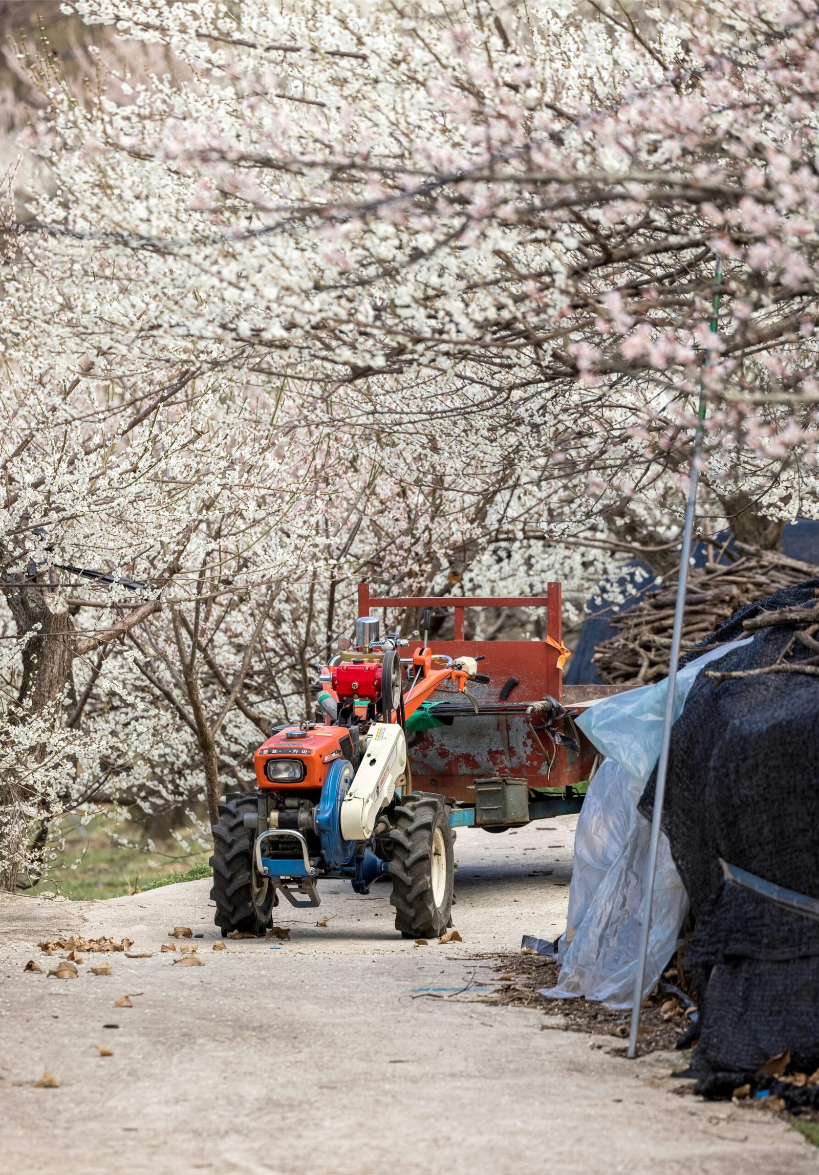 a tractor pulling a trailer down a road