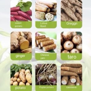 Cassava Grinder /starch extract